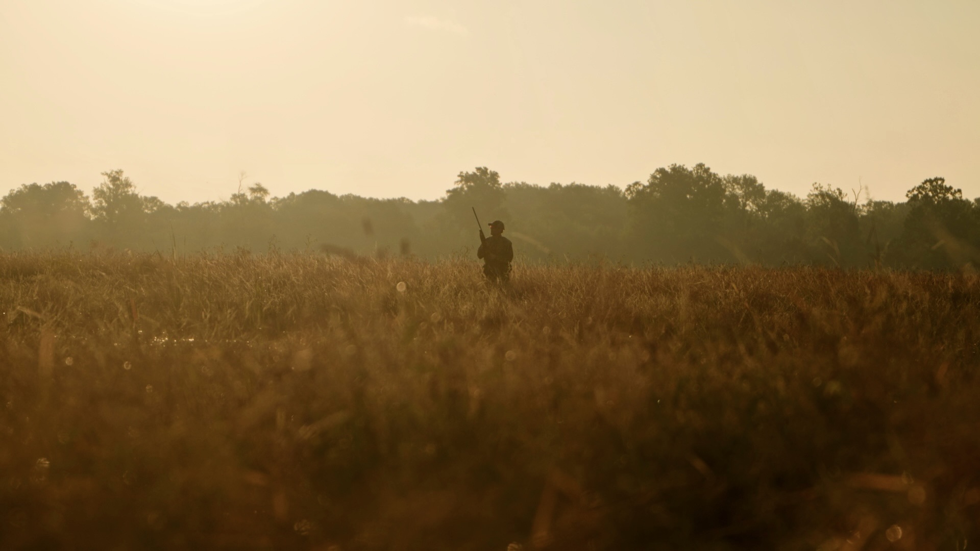 Walking in Field