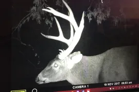 31.63 Acres, Franklin, MO