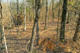 0.7 Acres, Hickory County, MO, Recreational