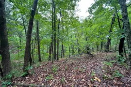 3.88 Ac. Southwood Estates, Warrenton MO, 63383