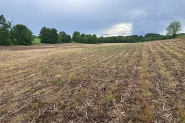 87 Acres, Alexander County, IL, Recreational