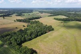 280 Acres, Bourbon County, KS, Recreational