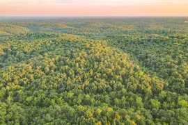 37.42 Acres, Camden County, MO, Recreational