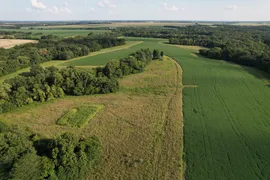 78.18 Acres, Monroe County, MO, Recreational
