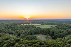 80 Acres, Ozark County, MO, Recreational