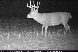 308 Acres, Bond County, IL, Recreational