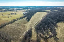 20 Acres, Stone County, MO, Recreational