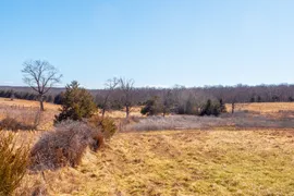 20 Acres, Gasconade County, MO, Recreational