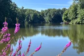75 Acres, Cumberland County, IL, Recreational
