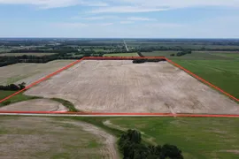 80 Acres, Vernon County, MO, Farmland