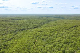 46.65 Acres, Laclede County, MO, Recreational