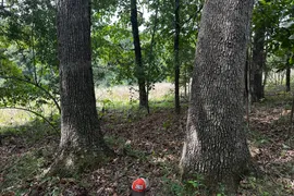 80 Acres, Saline County, IL, Recreational