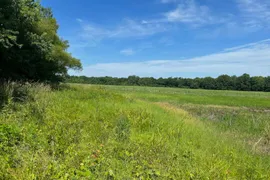 80 Acres, Madison County, MO