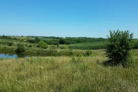 158 Acres, Mercer County, MO