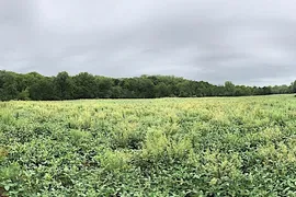 144 Acres, Putnam County, MO, Farmland