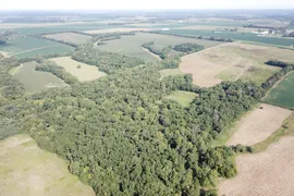 40 Acres, Ralls County, MO