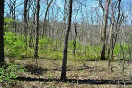 27.73 Acres, Franklin County, MO