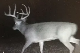100 Acres, Alexander County, IL, Recreational